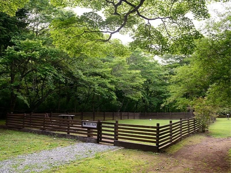 Highland Hakone